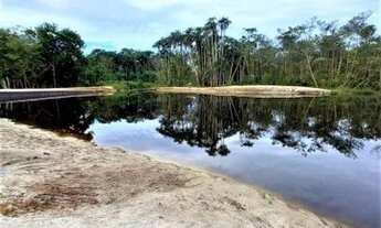 Imagem 7: Terreno de esquina, nascente de fundos p/ igarapé no km 08 do Janauary