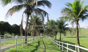 Imagem 3: Fabio Paes Imóveis - Haras 4.13 alq (20 ha) montado, pista de competição e muito mais