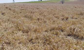 Imagem 4: Venda-se está propriedade de 5,5 alqueires e meio no Município de Kennedy/ES