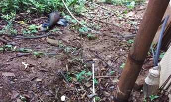 Imagem 4: VENDO CHÁCARA COM CASA EM TAQUARA