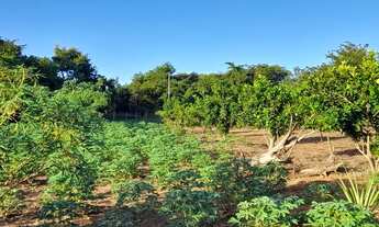 Imagem 5: Fazenda/Sítio/Chácara para venda possui 10000 metros quadrados com 4 quartos