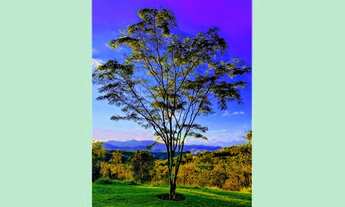 Imagem 4: Casa de condomínio de alto padrão com segurança 24hrs em Santa Isabel - SP