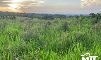 Imagem 4: Fazenda em Goianésia do Pará. > 214 Alq. (1.036 Há