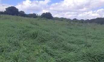 Imagem 5: Fazenda/Sítio/Chácara para venda com 450 metros quadrados com 8 quartos