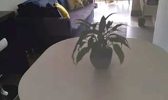 Imagem 5: São Paulo - Apartamento Padrão - Tatuapé