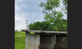 Imagem 2: Chácara para Venda em Alfredo Marcondes, CHÁCARA ALFREDO MARCONDES