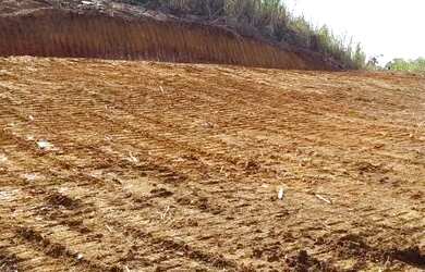 Imagem 7: Chácara de 3 mil metros com proprietário