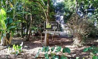 Imagem 3: Chacara de 02 Hectares em Inhumas GO