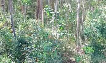 Imagem 5: Terreno para Venda em Nova Friburgo, BRAUNES