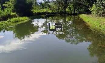 Imagem 6: Chacara de 02 Hectares em Inhumas GO