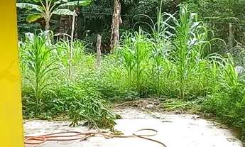 Imagem 3: Casa Casa com 2 dormitórios