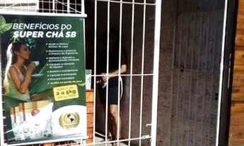 Imagem 2: Imóveis comerciais vende -se