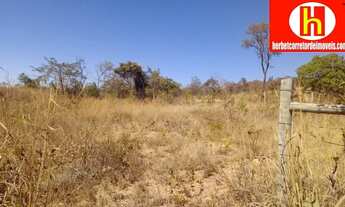 Imagem 6: Baldim - Terreno Padrão - Centro