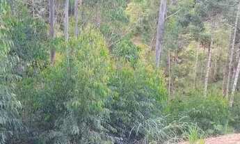 Imagem 7: Terreno para Venda em Nova Friburgo, BRAUNES