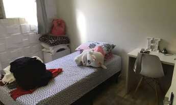 Imagem 6: Oportunidade em Suzano