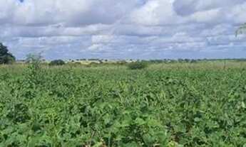 Imagem 6: Fazenda/Sítio/Chácara para venda com 450 metros quadrados com 8 quartos