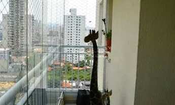 Imagem 3: Apartamento Residencial à venda, Vila das Mercês, São Paulo -