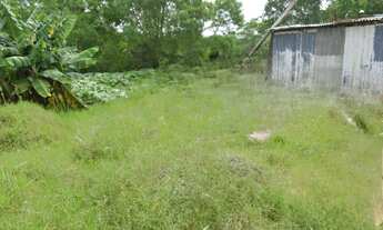 Imagem 3: Terreno em Porto Ferreira - só construir