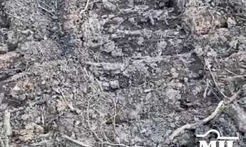 Imagem 3: Fazenda em Goianésia do Pará. > 214 Alq. (1.036 Há