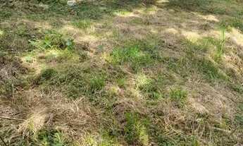 Imagem 4: OTIMO TERRENO PARA INCOORPORAÇÃO