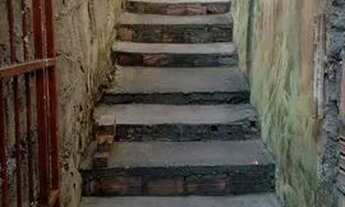 Imagem 6: Aluguel casa Casa com 3 dormitórios