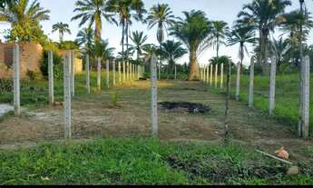 Imagem 2: Vendo Terreno localizado na ilha de Itaparica
