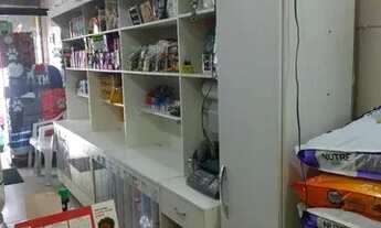 Imagem 2: Passo ponto Banho e tosa em Bento Ribeiro