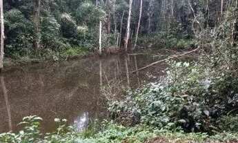 Imagem 5: SITIO IGUAPE Fazenda / sítio com venda por R$350.000