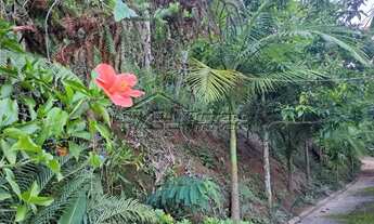 Imagem 3: Linda Chácara com piscina em São José dos Campos/SP