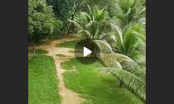 Imagem 3: Vende-se sítio em Cachoeira do meio Cachoeira do meio Cachoeira