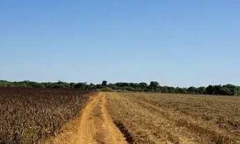 Imagem: FAZENDA EM ARAGUAÇU 97 ALQUEIRES