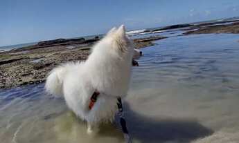 Imagem 7: Ótimo apartamento