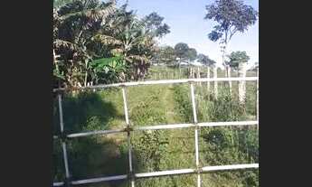 Imagem 2: Chacara 8 mil metro