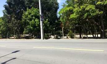 Imagem 2: Excelente área beira BR 216 marechal