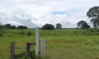 Imagem 3: Fazenda para Venda em Setor Central Santa Rita do Tocantins-TO - 3027
