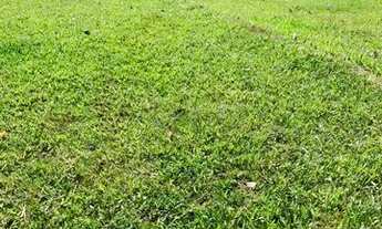 Imagem 2: T.e - Vende-se terrenos na planta aproveite