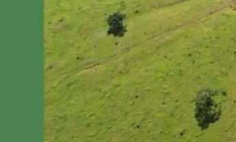 Imagem 5: Chacaras em itatiaucu planícies da serra