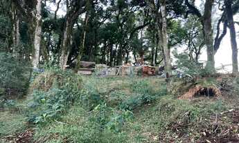 Imagem 6: Terreno - Bairro Quinta da Serra