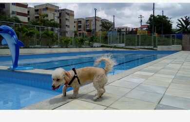 Imagem 2: VENDA: Apt de 2 Quartos