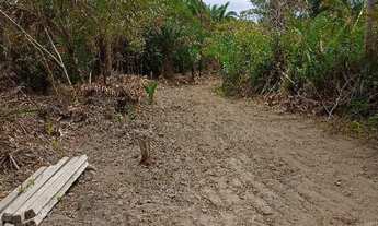 Imagem 7: Lotes parcelados para chácara em São Luis