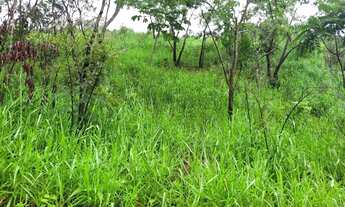 Imagem 4: FAZENDA 337 ALQUEIRES NIQUELANDIA - GO