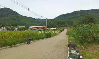 Imagem 3: Lote em Berlim - Centro - Picada Café/RS