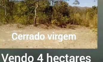 Imagem 2: Chácara com Rio no km 32 Estrada de Cuiabá para Chapada