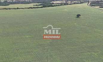 Imagem 2: Fazenda 24 Alqueires (116.16 Hectares) Pires do Rio - GO