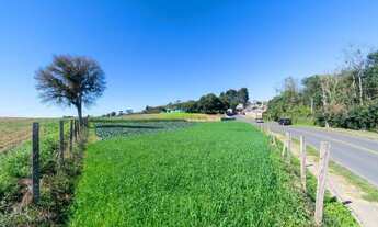 Imagem 5: Terreno com 1315 m² na Vila Santa Terezinha