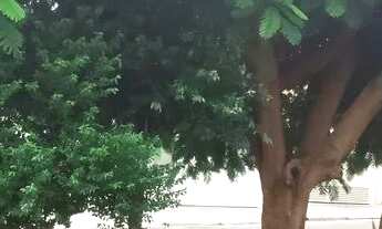 Imagem 3: Terreno 250m² no Universitário Fernandópolis