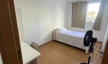 Imagem 4: Alameda dos Ipês