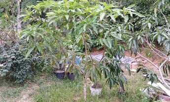 Imagem 5: Villa Suíça. Terreno 359m2. R$175.000,00