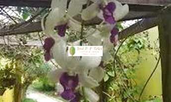 Imagem 6: Pousada Costeira da Barra em Maragogi Alagoas