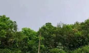 Imagem 7: Terreno para Venda em Nova Petrópolis, Vila Olinda